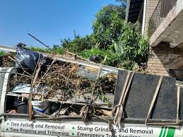 Professional Junk Removal in Lake Riverside, CA